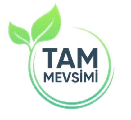Tam Mevsimi